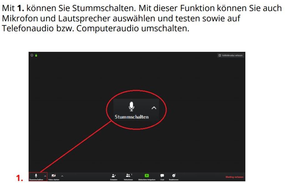 zoom desktop client deutsch download